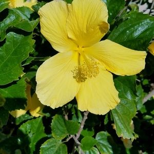 Meet your Posher, Marcia